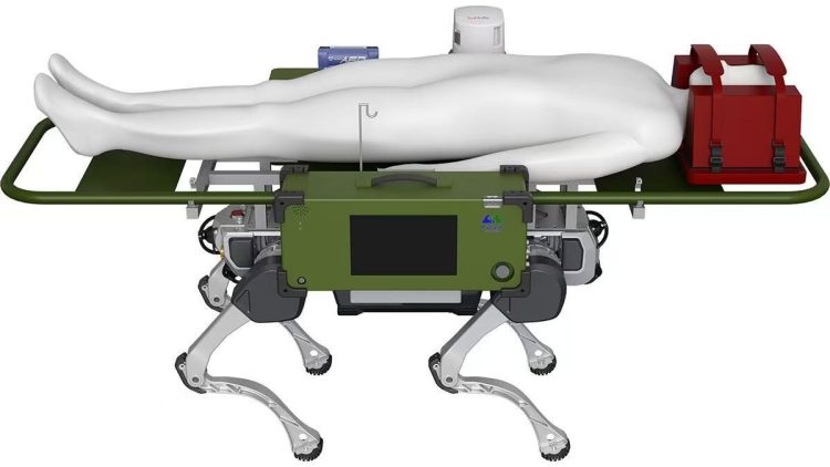 Bionic Robots: Mimicking Nature’s Survival Techniques for Efficient Disaster Rescue Operations