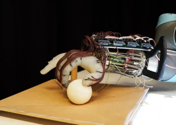 The Applications of Soft Robotics: Revolutionizing Surgery, Search and Rescue, and Exploration