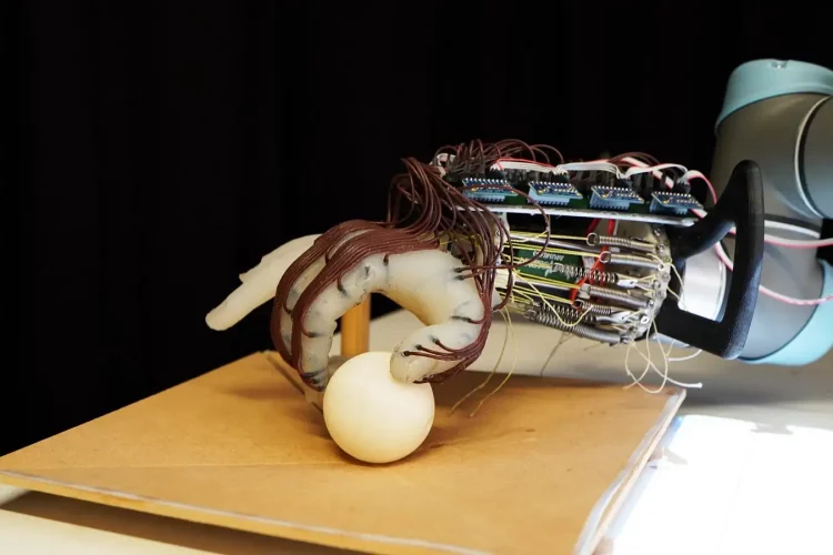 The Applications of Soft Robotics: Revolutionizing Surgery, Search and Rescue, and Exploration