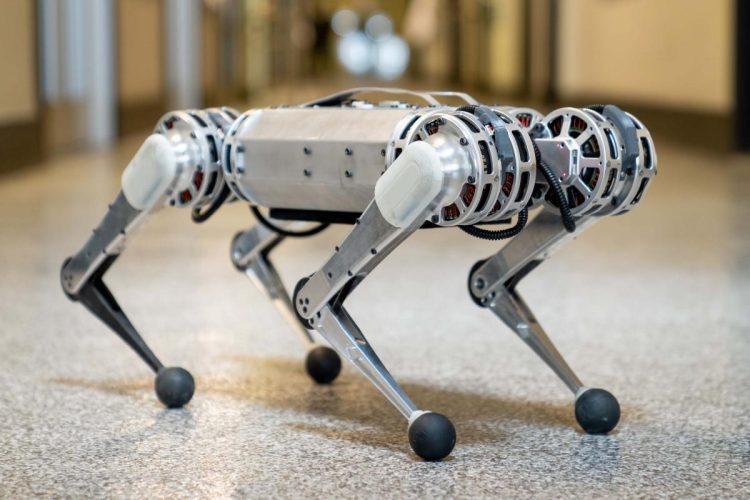 Biomimetic Robots: Designing and Developing Robots that Imitate Nature’s Creatures