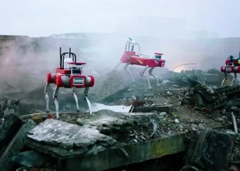 Utilizing Quadruped Robots for Search and Rescue Operations in Ruins