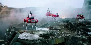 Utilizing Quadruped Robots for Search and Rescue Operations in Ruins