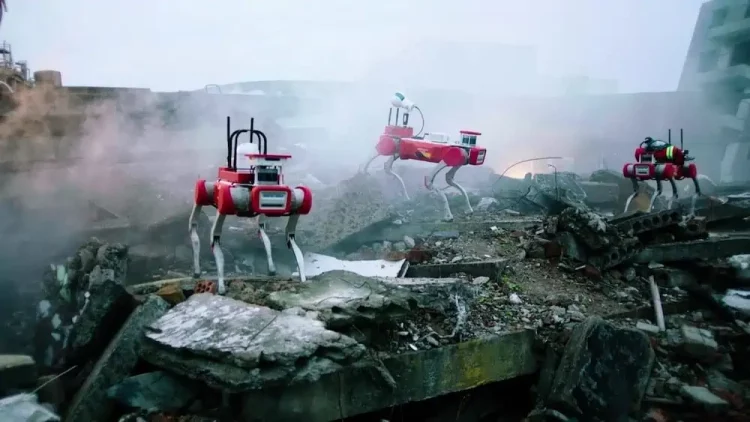 Utilizing Quadruped Robots for Search and Rescue Operations in Ruins