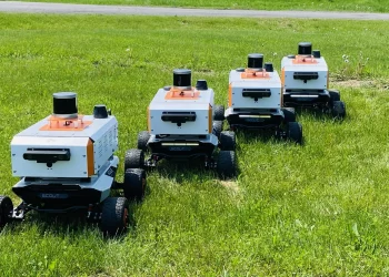 Swarm Robotics: A Hotspot in Biomimetic Robot Research