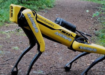 The Continuous Evolution of Bionic Robot Technology: A Catalyst for Applications in Complex Environments