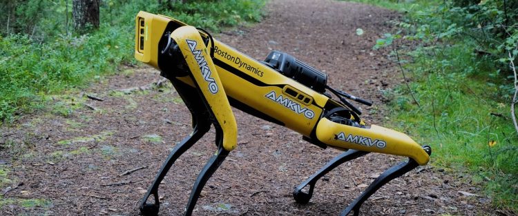 The Continuous Evolution of Bionic Robot Technology: A Catalyst for Applications in Complex Environments