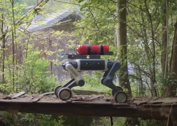 Biomimetic Robots: Mastering Extreme Environments