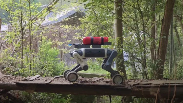 Biomimetic Robots: Mastering Extreme Environments