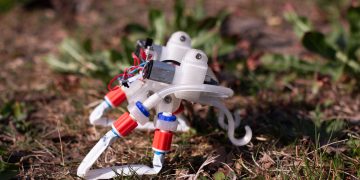 With the Continuous Development of Biomimicry, Robot Technology Is Gradually Simulating and Integrating Biological Characteristics