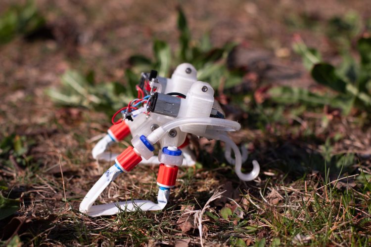 With the Continuous Development of Biomimicry, Robot Technology Is Gradually Simulating and Integrating Biological Characteristics