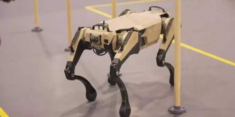 Biomimetic Robots: Drawing Inspiration from Nature to Simulate the Behavior and Structure of Plants and Animals